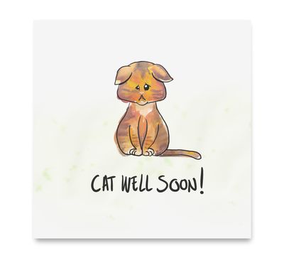 Cat well soon